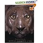 Treasures from the Royal Tombs of Ur