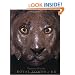 Treasures from the Royal Tombs of Ur
