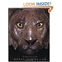 Treasures from the Royal Tombs of Ur