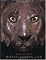 Treasures from the Royal Tombs of Ur