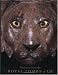 Books : Treasures from the Royal Tombs of Ur