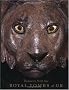 Treasures from the Royal Tombs of Ur Treasures from the Royal Tombs of Ur