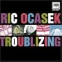 Troublizing