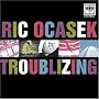 Troublizing