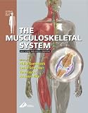The Musculoskeletal System