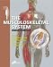 The Musculoskeletal System: Basic Science and Clinical Conditions: Systems of the Body Series