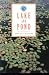 Lake & Pond