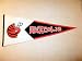 Cincinnati Bengals NFL Classic Football Pennant