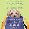 Meet Me at Emotional Baggage Claim