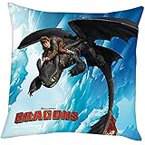 Drachenzähmen leicht gemacht II Kissen Ohnezahn