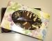 Scott's Cakes Cocoa Covered Dark & White and Dark & White Chocolate Truffles 1/2 Pound Daisy Box