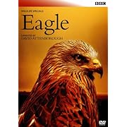 BBCワイルド・ライフ ワシ  空の支配者 [DVD]