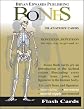 The Bones (Flash Cards)