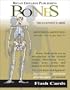 The Bones (Flash Cards)