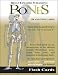Flash Anatomy Flash Cards: The Bones