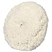 Milwaukee 49-36-1450 Lambswool Polishing Pad 1 1/2" Pile 7 1/2-inch.