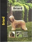 Briard (Pet Love)