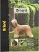 Briard (Pet Love)