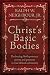 Christ's Basic Bodies: Embracing God's Presence, Power, and Purposes in Holistic Small Group Life, Cell Groups, Home Groups, Life Groups, and Biblical Communities