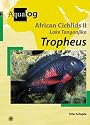 Aqualog African Cichlids II Taganyika I - Tropheus