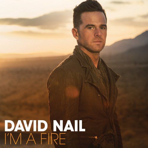 David Nail - Kiss You Tonight Lyrics - Zortam Music