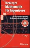 Mathematik für Ingenieure: Eine anschauliche Einführung für das praxisorientierte Studium: Eine Anschauliche Einfuhrung Fur Das Praxisorientierte Studium (Springer-Lehrbuch)