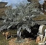 10 Inch Fontanini Small Olive Tree 55517