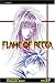 Flame of Recca, Vol. 19 (v. 19)