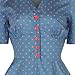 Lindy Bop Women's Ionia Vintage 1950's Rockabilly Pinup Flared Tea Dress