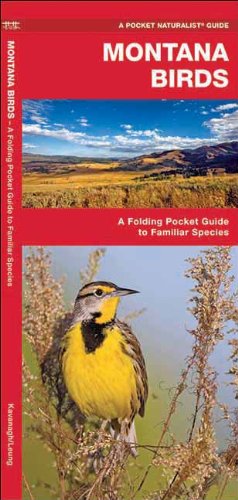 montana birds a folding pocket guide to familiar species pocket naturalist guide series
