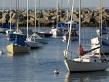 Sailboats in Rockport Harbor, Ma Photographic Poster Print by Tim Laman, 16x12