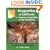 Dragonflies of California and Common Dragonflies of the Southwest