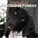 German Shorthaired Pointers 2004 Calendar