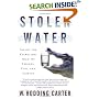 Stolen Water: Saving the Everglades from Its Friends, Foes, and Florida