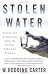 Stolen Water: Saving the Everglades from Its Friends, Foes, and Florida