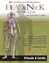 Head & Neck Muscles (Flash Cards)