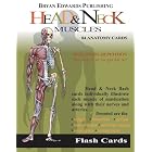Head and Neck Muscles (Flash Cards) by  Flash Anatomy