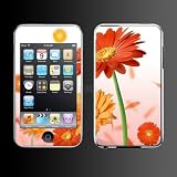 skinx Skin für Apple iPod Touch 2G / 3G