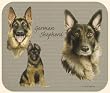 David Kiphuth Dog Breeds German Shepherd Mousepad Mouse Pad