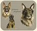 David Kiphuth Dog Breeds German Shepherd Mousepad Mouse Pad