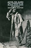After the Glory: The Struggles of Black Civil War Veterans