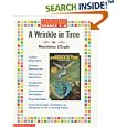 Literature Guide: A Wrinkle in Time (Grades 4-8)