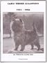 Cairn Terrier Champions: 1952-1986