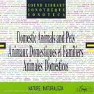 Animaux Domestiques Et Familiers
