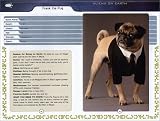 Men in Black II: The Alien Handbook