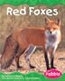 Red Foxes (Pebble Books)