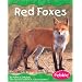 Red Foxes (Pebble Books)