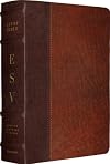 ESV Study Bible (Cowhide, Brown/Chestnut, "Vintage" Design)