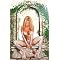Erotic . . Graphic Novels ! 18 *