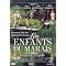 les pires aneries en DVD